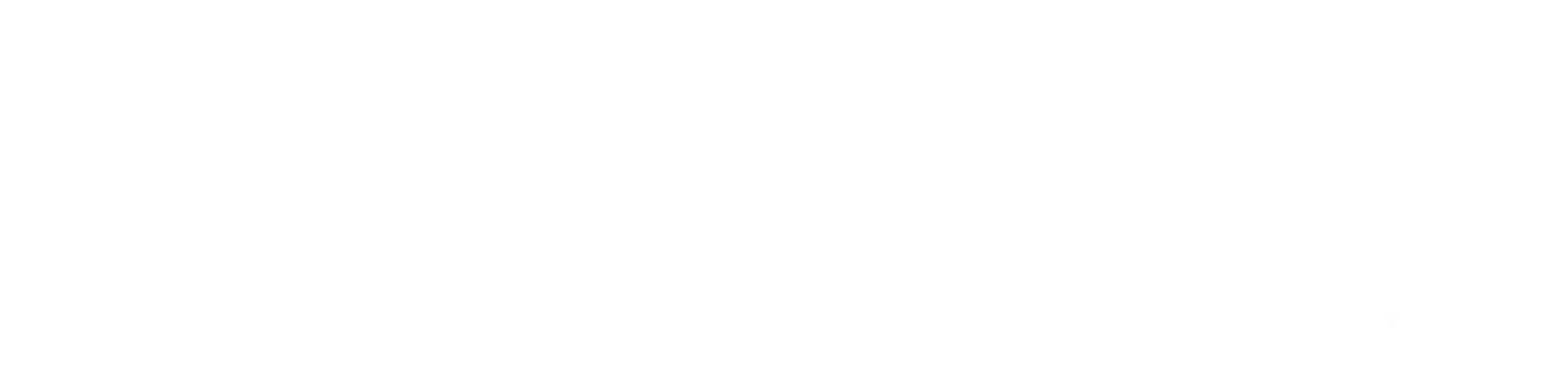 NextaOne Translation